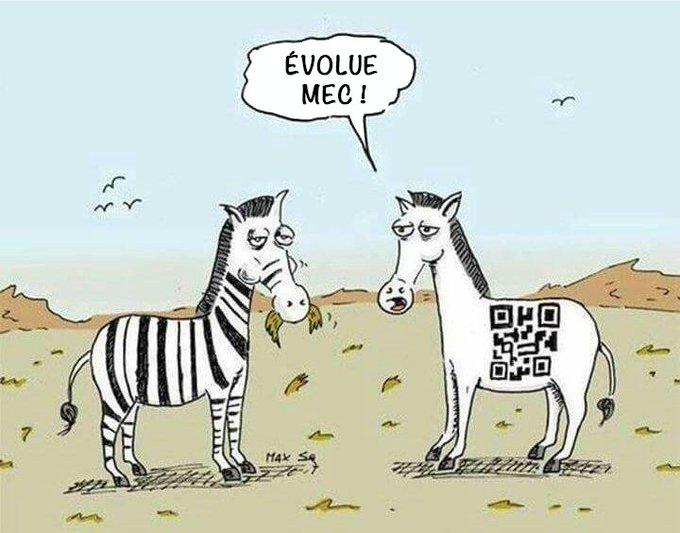 presentation www.tam-tam.mobi